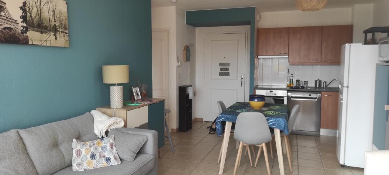 Appartement Avec Grande Terrasse A 15 Mn De La Mer Saint-Estève 外观 照片